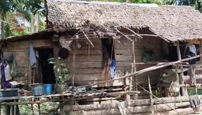 Sudah 30 Tahun Rumah Tidak Layak Huni di Tempati Siti Sekeluarga, Pemerintah Tutup Mata