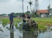 Tingkatkan Ketahanan Pangan, Serka Ujang Parman Bantu Kelompok Tani Lakukan Pengolahan Lahan Pertanian