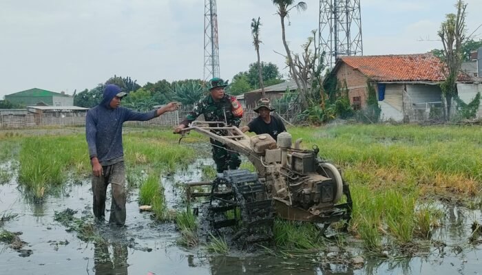 Tingkatkan Ketahanan Pangan, Serka Ujang Parman Bantu Kelompok Tani Lakukan Pengolahan Lahan Pertanian