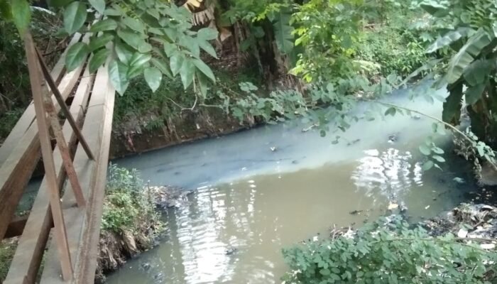 Saluran Sasak Bule Diduga Tercemar Limbah Pabrik Kelapa Sawit Di Bekasi Utara