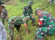 Koramil Selo Lakukan Perawatan Dan Penanaman Pohon di Tuk Babon