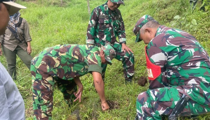 Koramil Selo Lakukan Perawatan Dan Penanaman Pohon di Tuk Babon