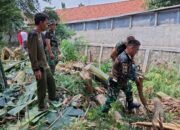 Cegah Korban Pohon Tumbang, Babinsa Koramil 03/Teluk Pucung Bersama Tiga Pilar Lakukan Pemotongan Pohon