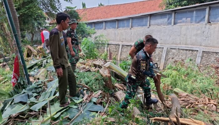 Cegah Korban Pohon Tumbang, Babinsa Koramil 03/Teluk Pucung Bersama Tiga Pilar Lakukan Pemotongan Pohon
