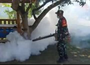 Babinsa Dan Puskesmas Sambi Berjibaku Berantas DBD