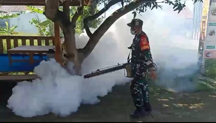 Babinsa Dan Puskesmas Sambi Berjibaku Berantas DBD