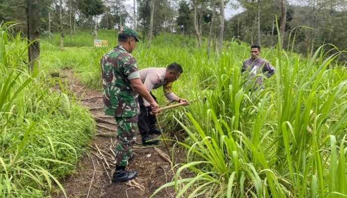 TNI Polri Dan Petugas Gabungan Lakukan Penanaman Pohon Endemik