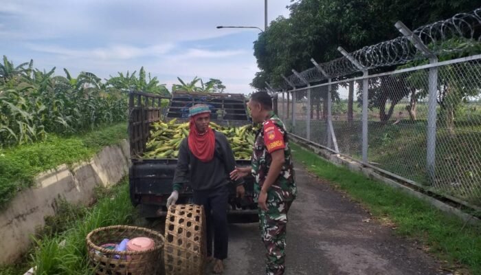 Babinsa Kemusu Beri Dorongan Motivasi Bagi Petani Watugede