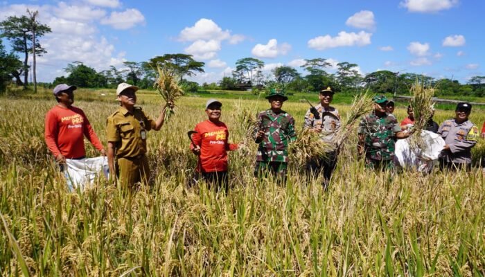Dandim Boyolali Hadiri Vidcon Bersama Presiden RI dan Juga Panen di Desa Nepen Teras