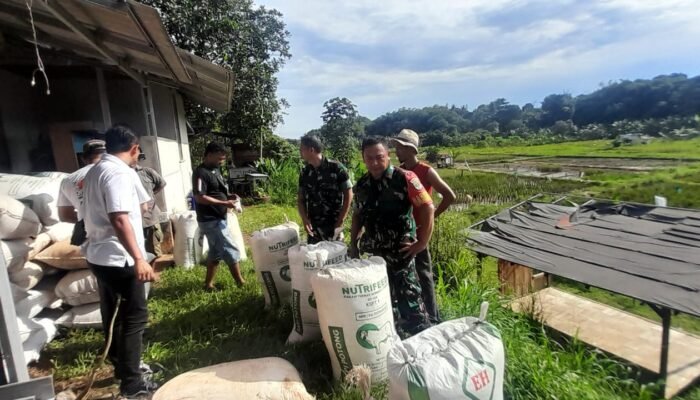 Pastikan Penyerapan Gabah oleh Bulog Lancar Sesuai Harga, Babinsa Kodim 0507/Bekasi Lakukan Pendampingan Poktani