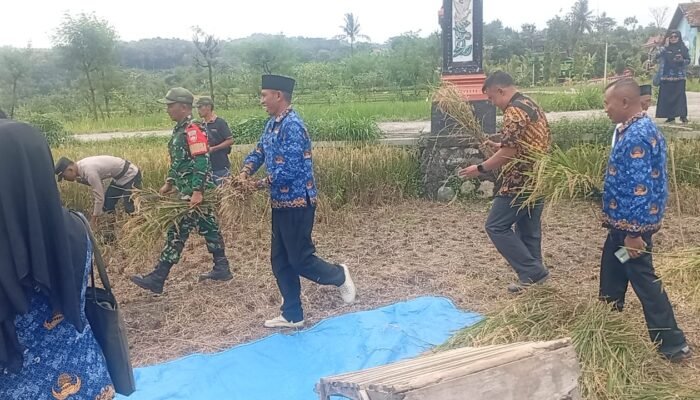 Anggota Koramil Wonosegoro Tunjukkan Dedikasinya Dukung Ketahanan Pangan
