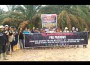 Pemkab dan Kejari Didesak Aktivis Tuntaskan Konflik Agraria PT. GPI Dengan Masyarakat Muba