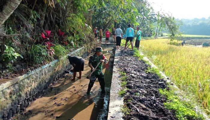 Saluran Irigasi Lancar Panen Petani Jadi Maksimal