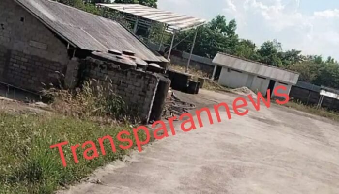 Dugaan Gudang BBM ILegal Berdiri Kokoh Dimana APH Setempat