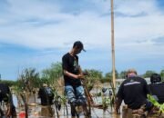Mangrove: Emas Hijau Penjaga Pesisir dan Masa Depan Ekonomi Indonesia