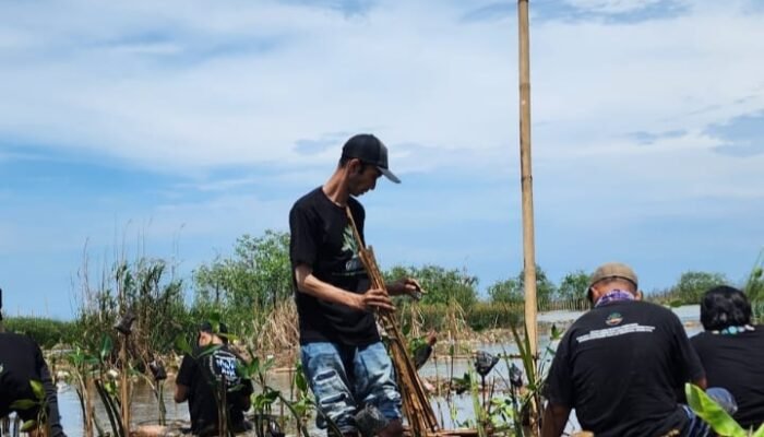 Mangrove: Emas Hijau Penjaga Pesisir dan Masa Depan Ekonomi Indonesia